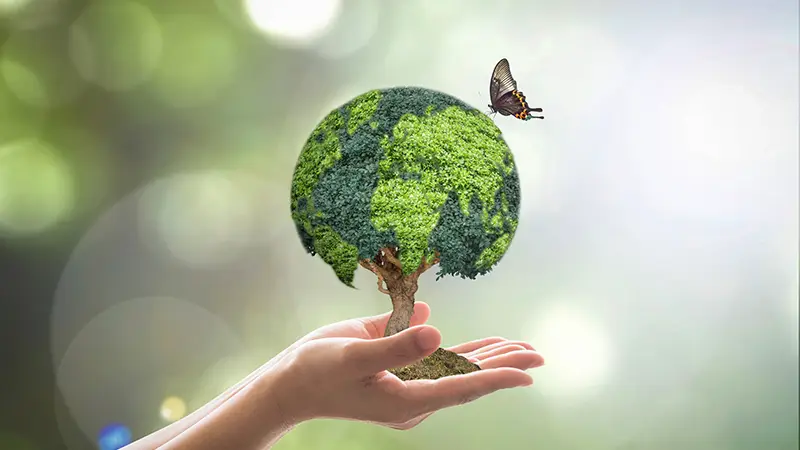 Hand holding a tree where a butterfly rests, symbolizing eco-friendliness